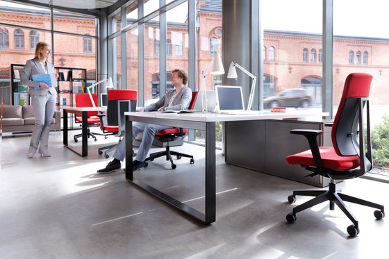 Xenon 20S | Office chairs | PROFIM