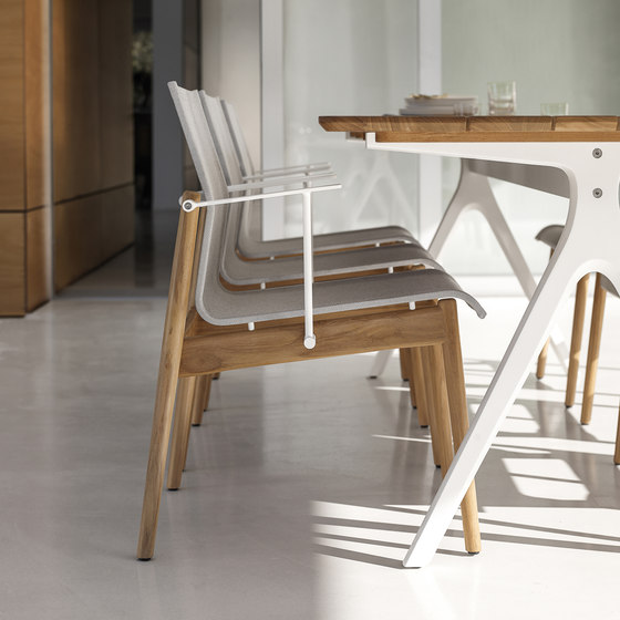 Sway Teak Stacking Chair | Chairs | Gloster Furniture GmbH