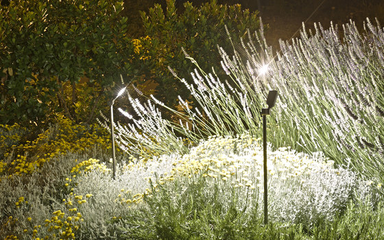 Spiky | Lampade outdoor pavimento | Royal Botania