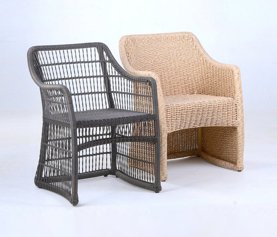 Elan Dinning Armchair - PR | Chairs | Wintons Teak