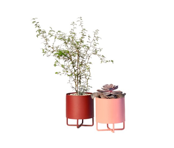 Shima Garden Mini |  | Johanson Design