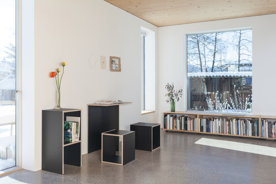 DASREGAL customized shelf- and sideboardsystem | Scaffali | Sanktjohanser