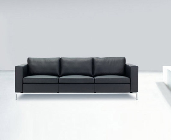 Foster 503 Sofa | Sofas | Walter K.