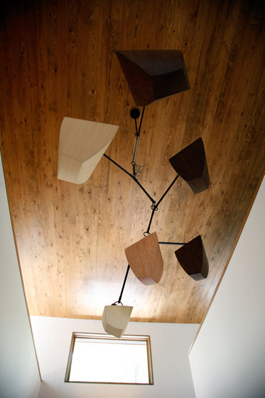 Ivy 3 ACE | Suspended lights | Andrea Claire Studio