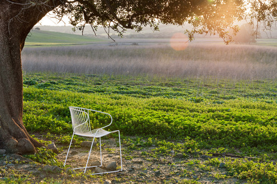 Bolonia Chair | Pine Green | Sedie | iSimar