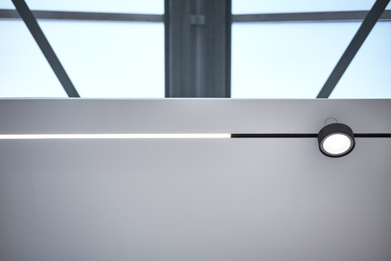 LED LINE | Suspended lights | Buschfeld Design