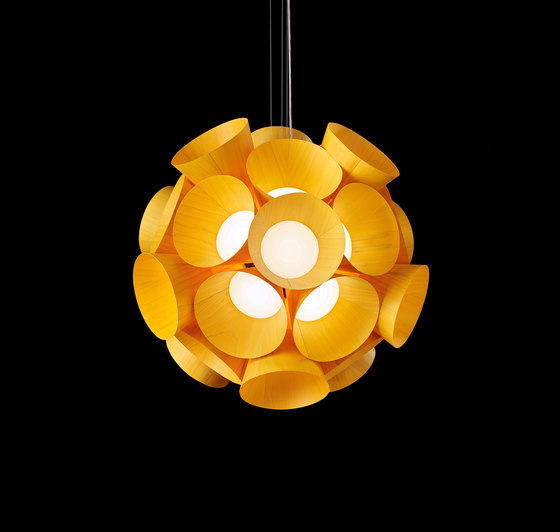 Dandelion | Lámparas de suspensión | lzf