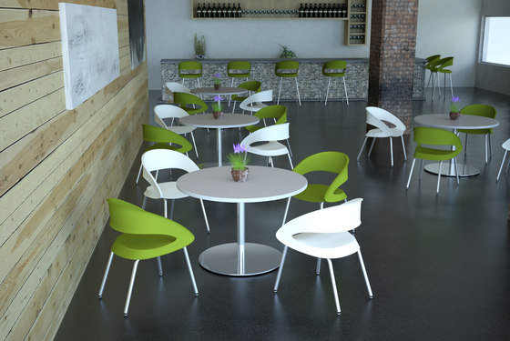 Foray café chair | Sillas | ERG International