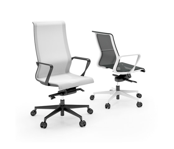 Dinamica | Chairs | Quadrifoglio Group