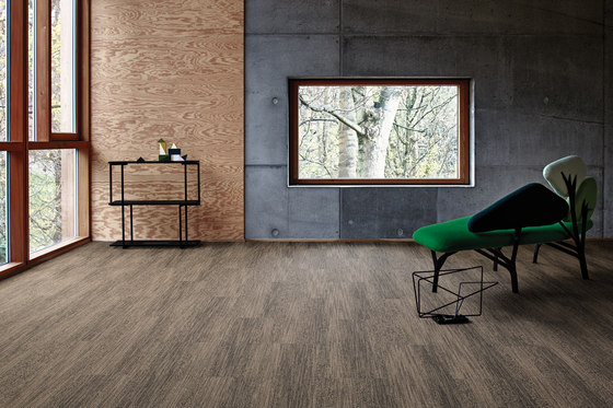 Touch of Timber Sycamore | Carpet tiles | Interface