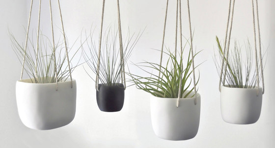 Hanging Planter | 12 Cm | Vasi piante | Tina Frey Designs