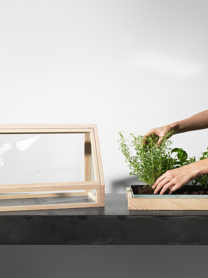 Greenhouse Mini | Ash | Vasi piante | Design House Stockholm