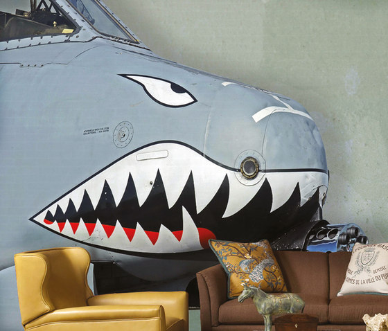 Sharkin | Wall art / Murals | Creativespace