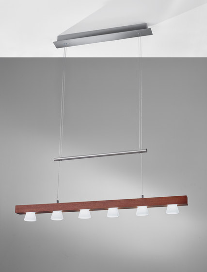 Burlington LED 6 Light Adjustable Pendant | Suspended lights | ADS360