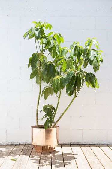 Indoor Spun Planter 8" | Aluminum | Pots de fleurs | Yield