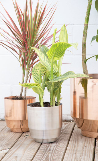 Indoor Spun Planter 8" | Copper | Pots de fleurs | Yield