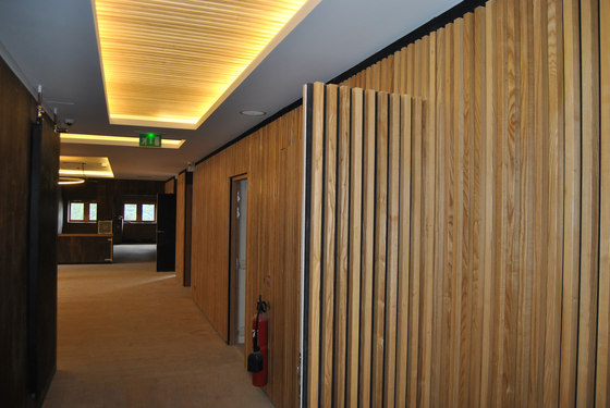 Ideawood | Idealux LR | Wood panels | IDEATEC