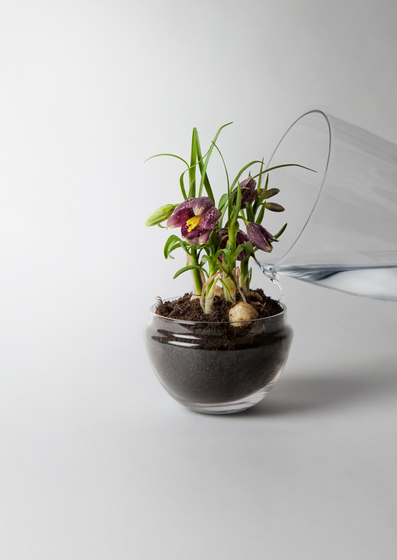 Grow greenhouse x-large | Vasi piante | Design House Stockholm