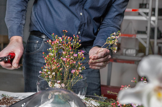 Grow greenhouse large | Pots de fleurs | Design House Stockholm