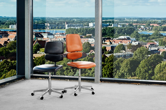 VL15 | low back | Office chairs | Vermund