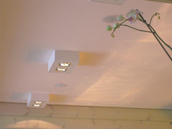 WHITE LINE AR111 DUO SMALL | Lámparas de techo | PVD Concept