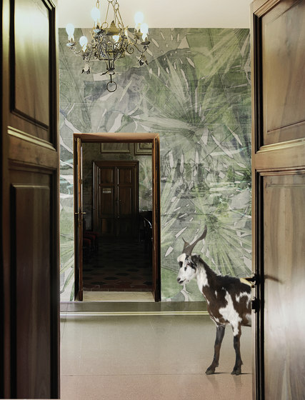 Fitzcarraldo Green Deco | Wandbilder / Kunst | TECNOGRAFICA