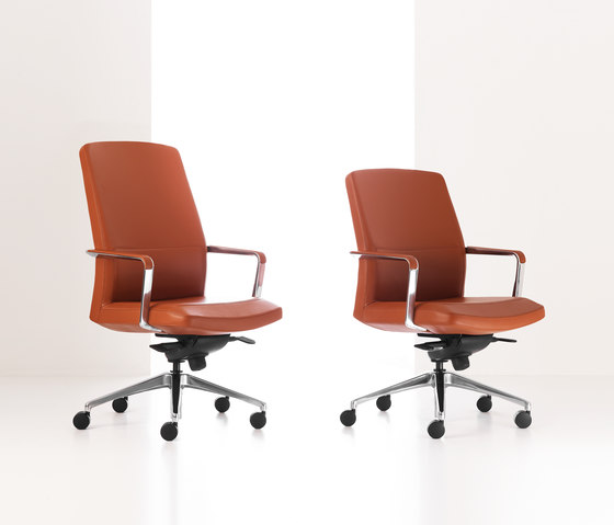 Robus | Medium Back | Chairs | Stylex