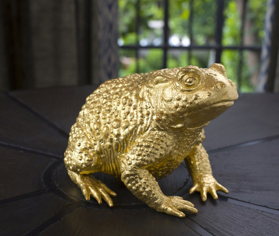 Golden Toad Talisman |  | Fisher Weisman