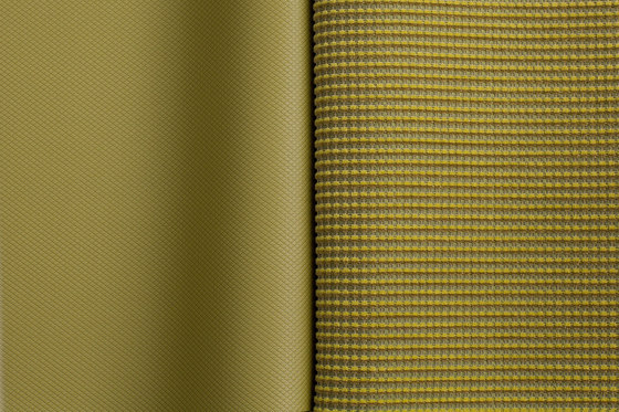 Two Tone | Hit Record | Upholstery fabrics | Luum Fabrics