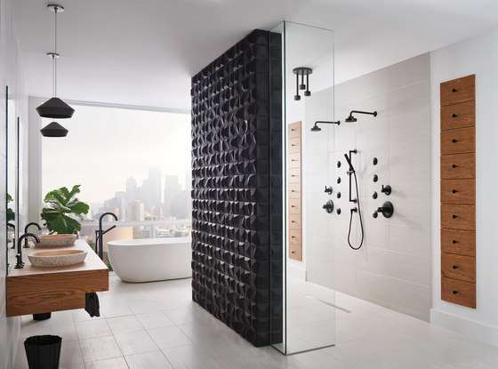 3-Function Diverter | Shower controls | Brizo