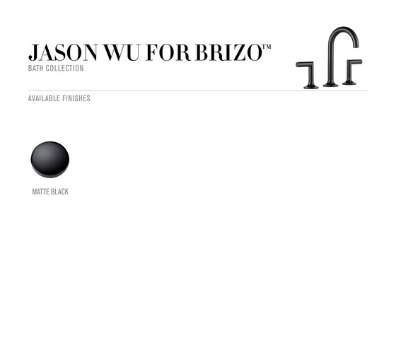 Pressure Balance Valve Only | Special fittings | Brizo