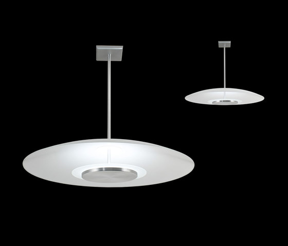 Florette Pendant | Lámparas de suspensión | The American Glass Light Company