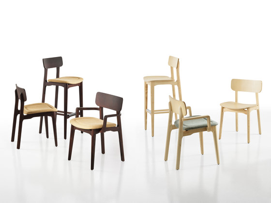 Cacao SL-P | Chaises | CHAIRS & MORE
