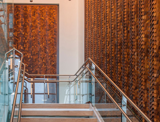 Walnut Veneer | Piallacci pareti | Architectural Systems