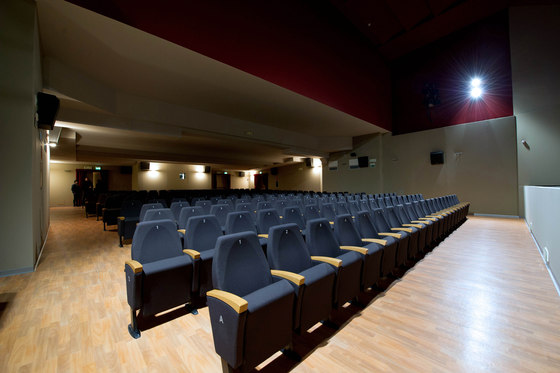 Gonzaga/T | Sedute auditorium | Caloi by Eredi Caloi