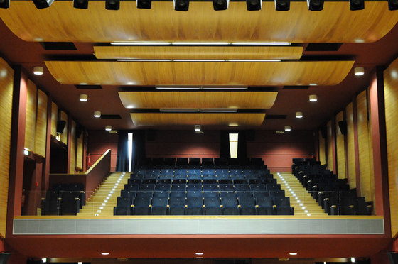 Gonzaga | Fauteuil Auditorium | Caloi by Eredi Caloi