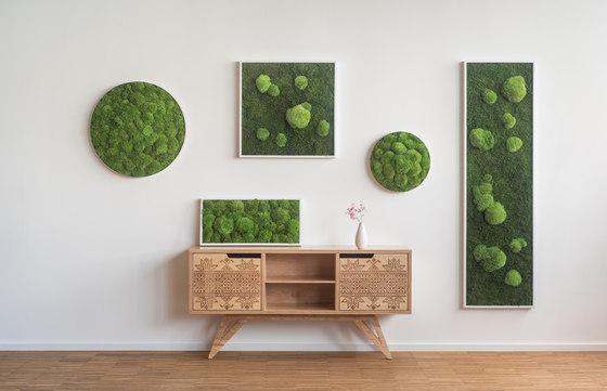 moss picture | pole and forest moss picture 35x35cm | Parades verdes / jardines verticales | styleGREEN