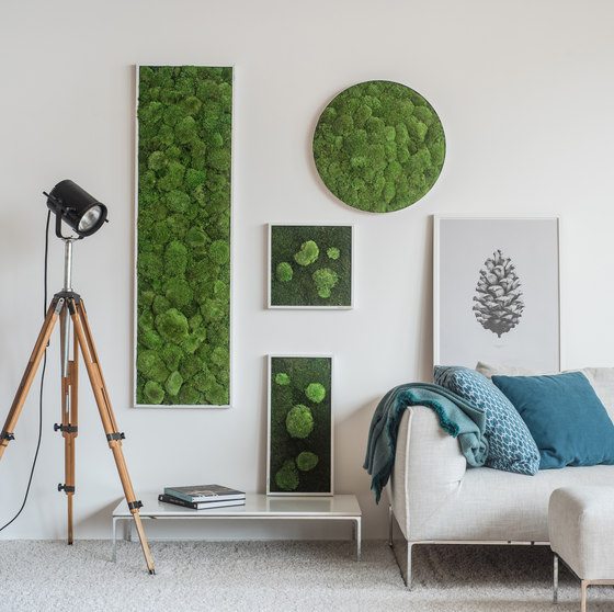 circle | forest and pole moss 80cm | Living / Green walls | styleGREEN