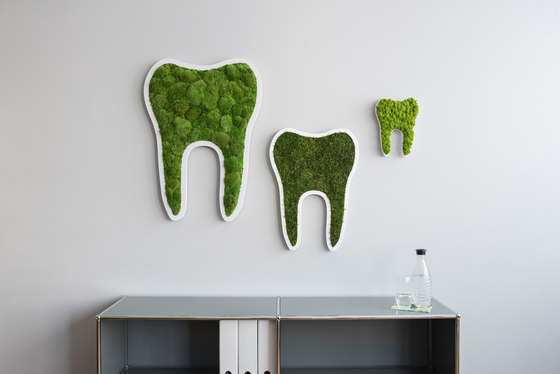 pictogram | reindeer moss tooth maygreen 60cm | Pictogramas | styleGREEN