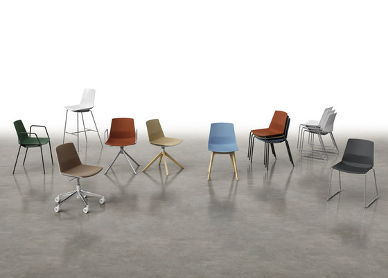 Clue | Chairs | Quadrifoglio Group