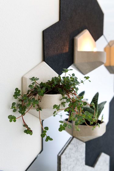 MonoPlanter | Concrete Dark Grey | Vasi piante | Valence Design