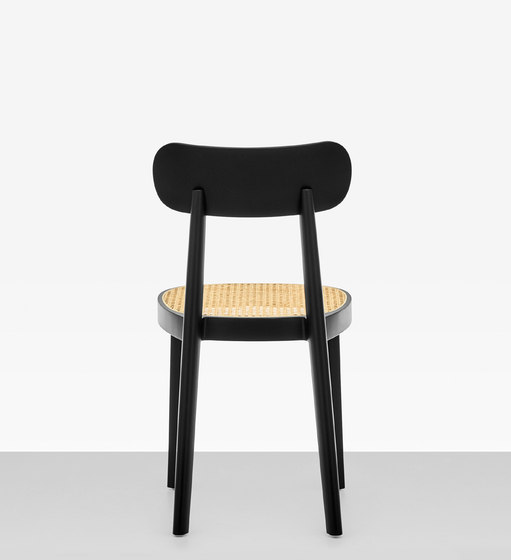 118 SPF | Stühle | Thonet