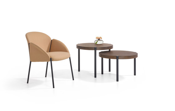 Andrea Barstool | Bar stools | Artifort