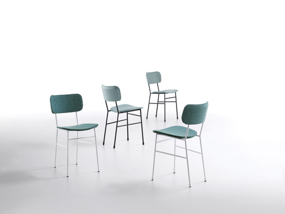 Master S | Chairs | Midj