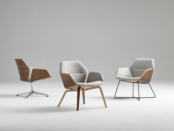 Ginkgo Ply Lounge | Armchairs | Davis Furniture