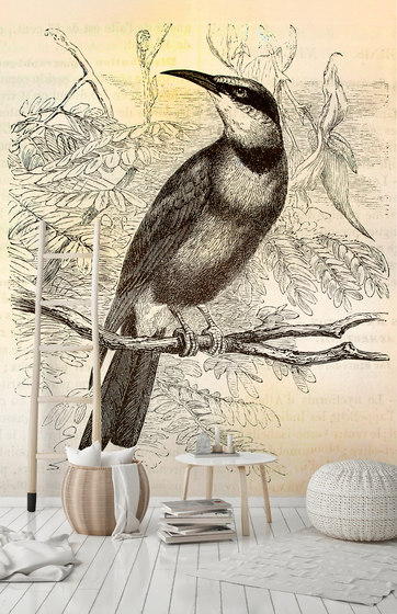 Walls By Patel | Wallpaper Vintage Birds 2 | Wall coverings / wallpapers | Architects Paper