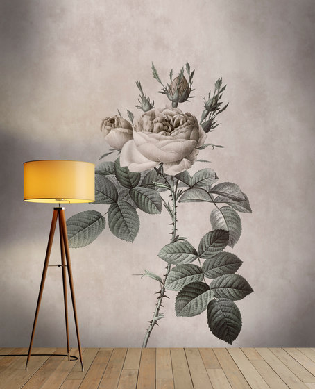 Walls By Patel | Wallpaper Rose 3 | Wall coverings / wallpapers | Architects Paper