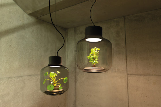 Mygdal Plantlight Large Zen | Lampade sospensione | Nui Studio