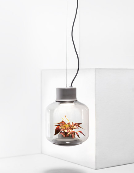 Mygdal Plantlight Large Lush | Suspended lights | Nui Studio