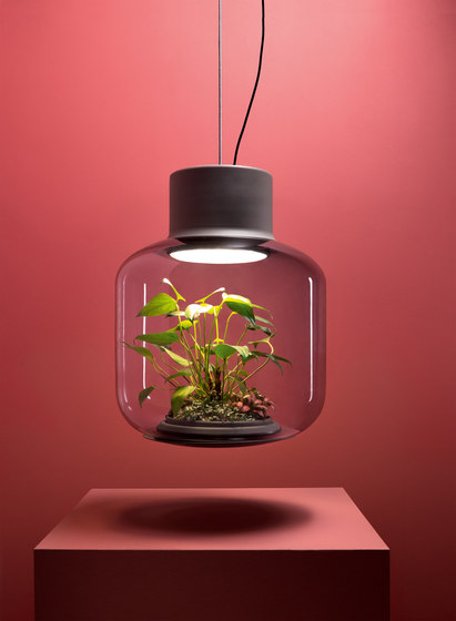 Mygdal Plantlight Large Zen | Lámparas de suspensión | Nui Studio